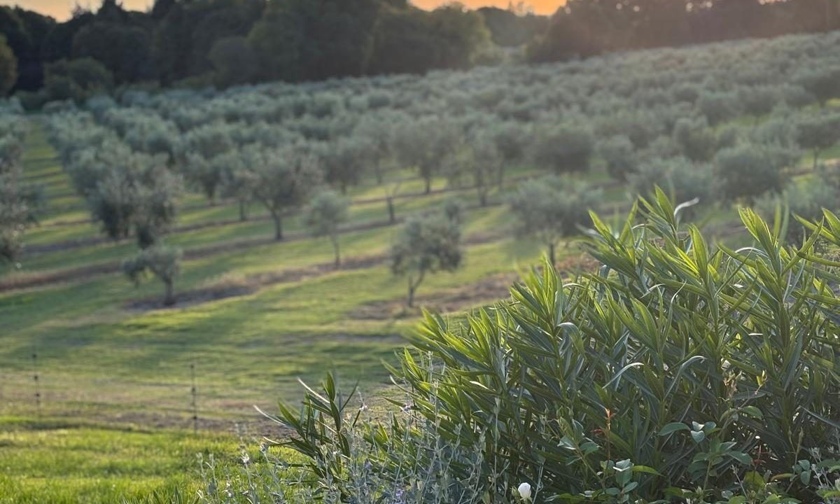 Photo of Outdoor in Tarascon