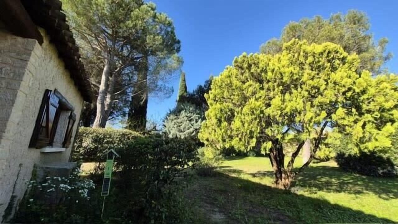 Photo of Outdoor in Murviel-les-Montpellier