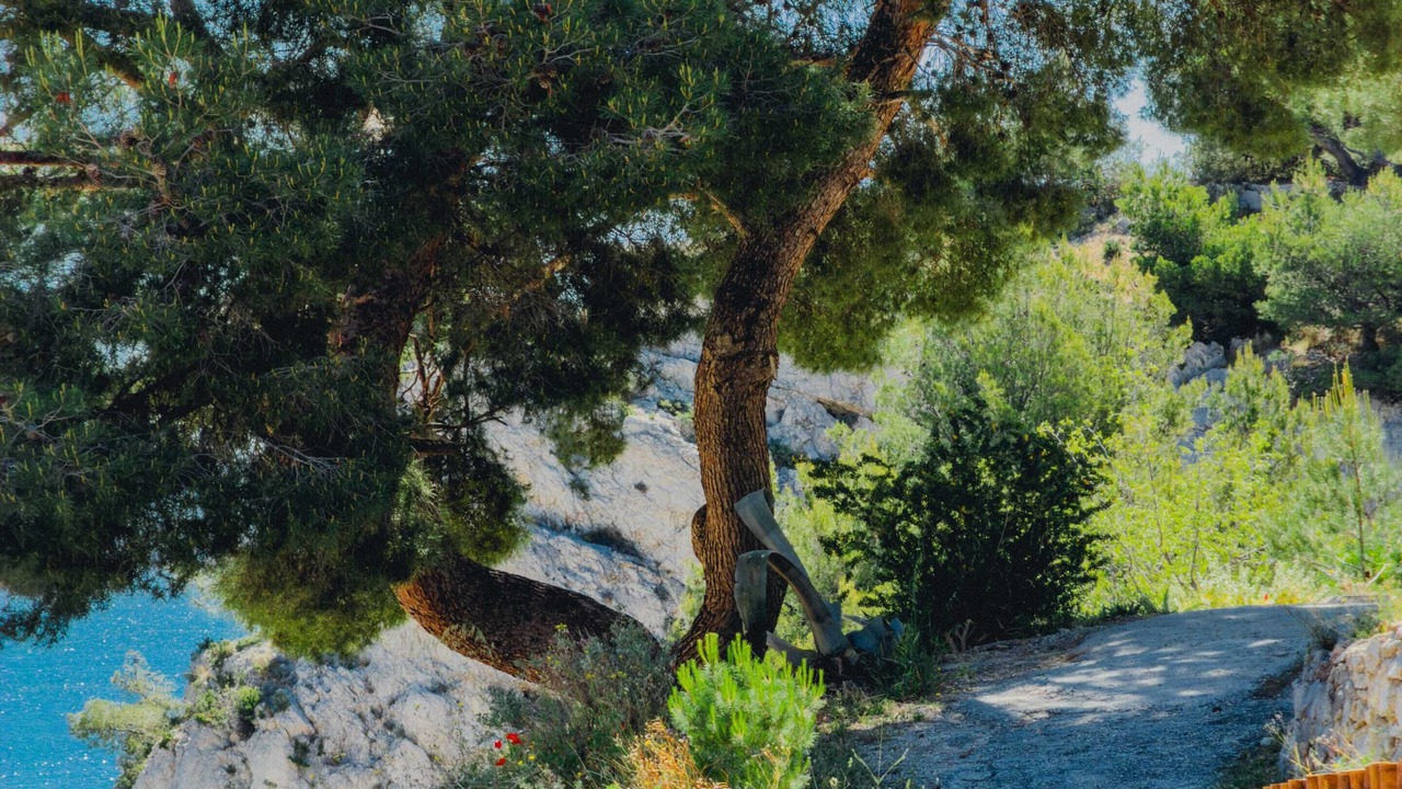 Photo of Outdoor in Niolon