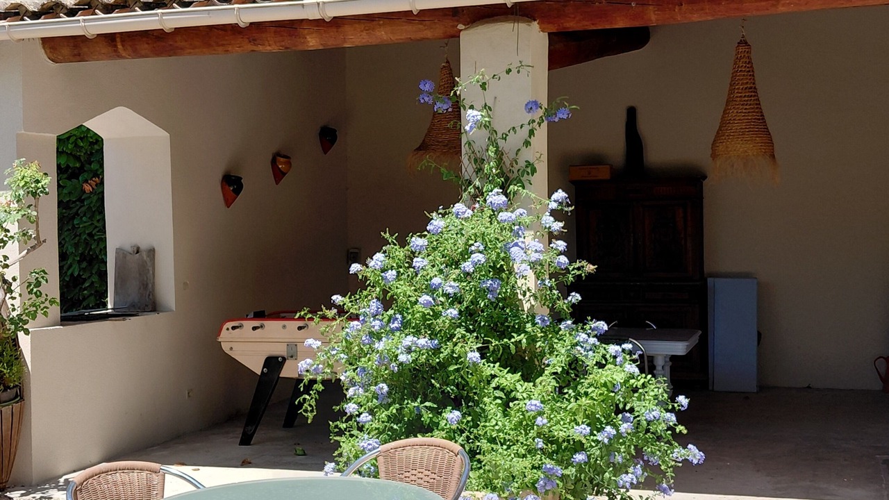 Photo of Outdoor in Paluds de Noves