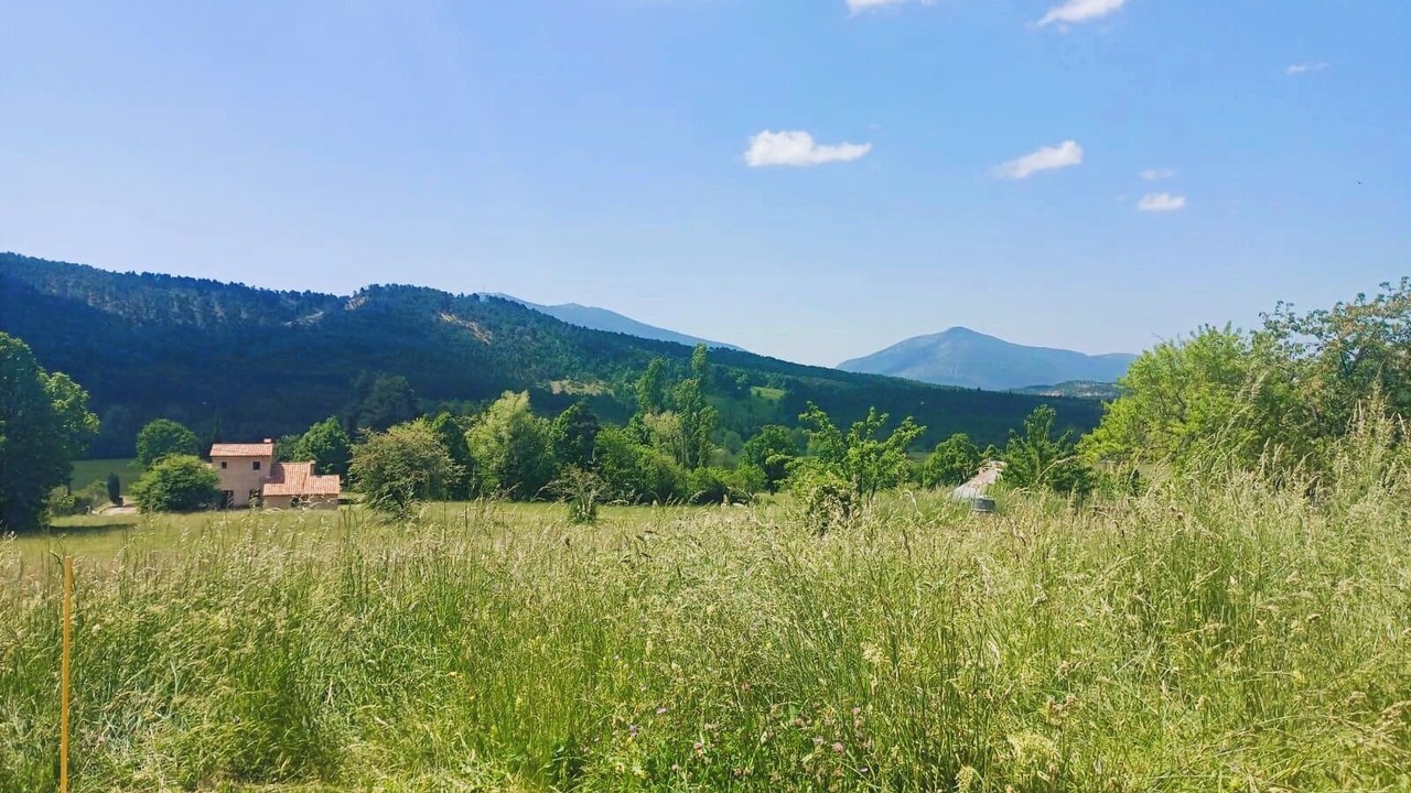 Photo of Others in La Foux