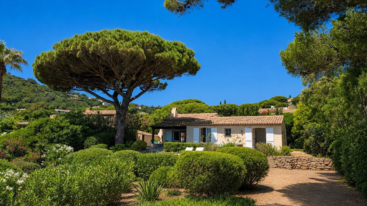 Photo of Outdoor in Ramatuelle