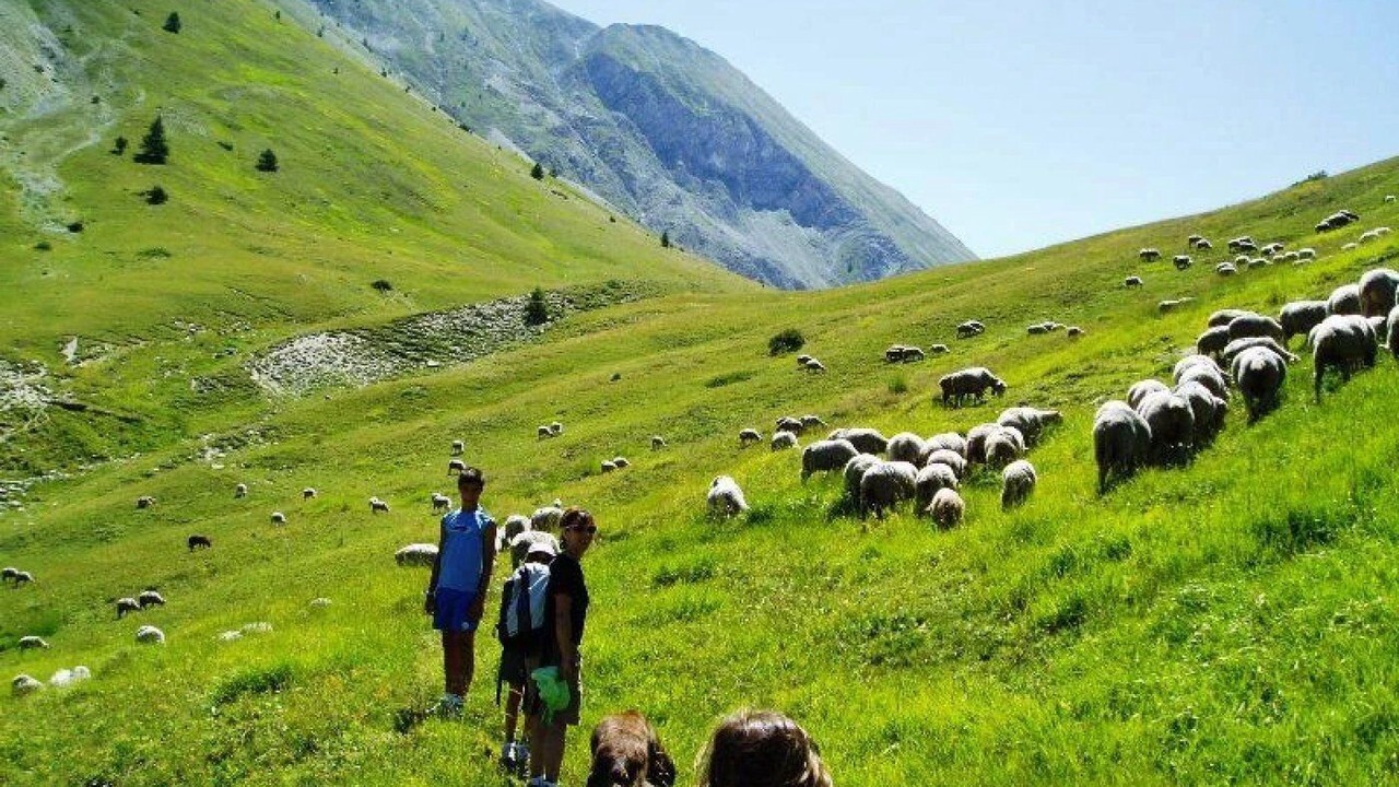 Photo of Others in Prads-Haute-Bleone