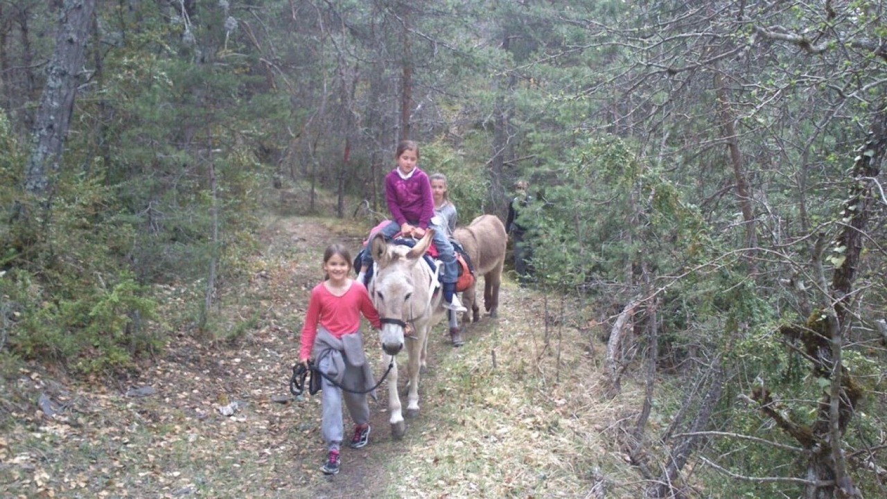 Photo of Others in Prads-Haute-Bleone