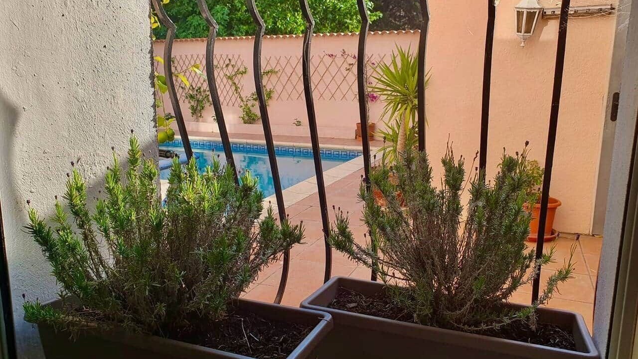 Photo of Outdoor in Saint-Barnabe