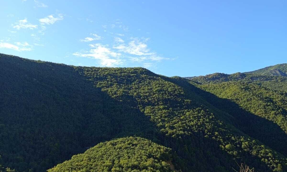 Photo of Outdoor in Sigale