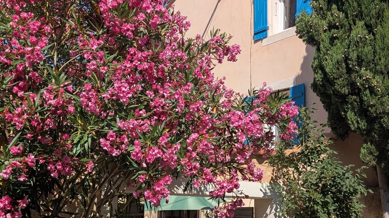 Photo of Outdoor in Mallemort