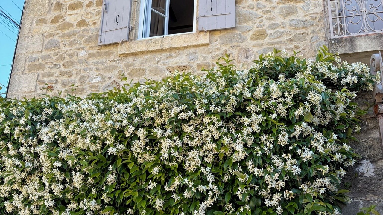 Photo of Outdoor in Euzet-les-Bains