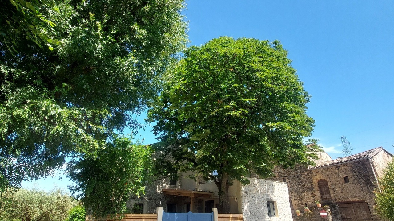 Photo of Outdoor in Saint-Bresson