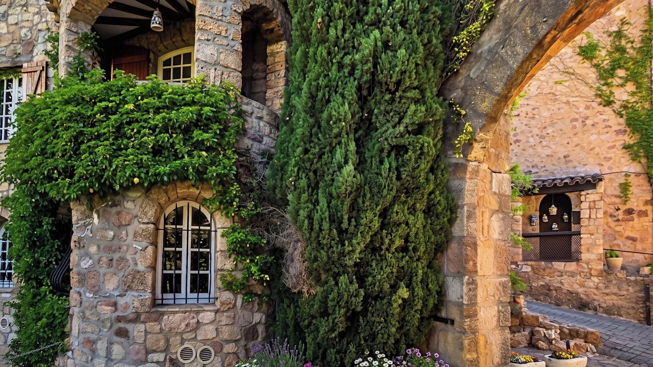 Photo of Outdoor in Taradeau