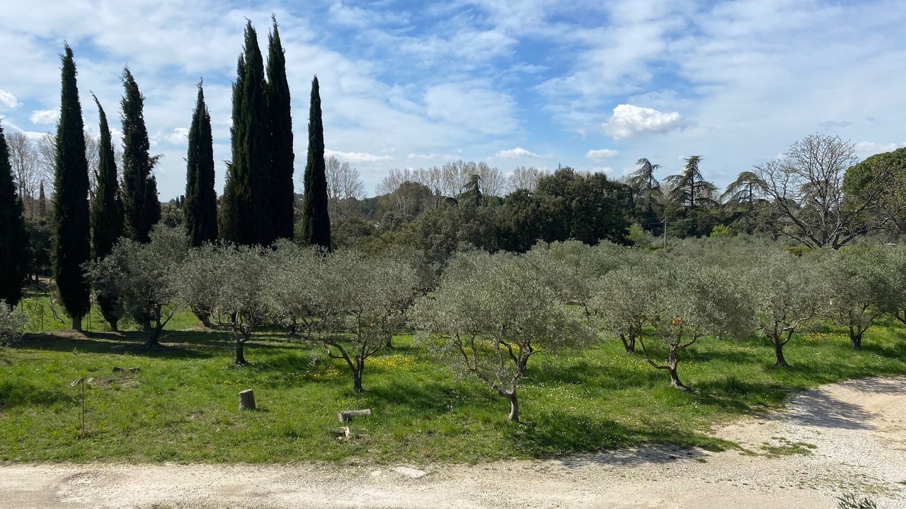 Photo of Others in Aix-en-Provence