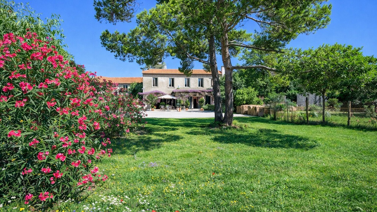 Photo of Outdoor in Arles
