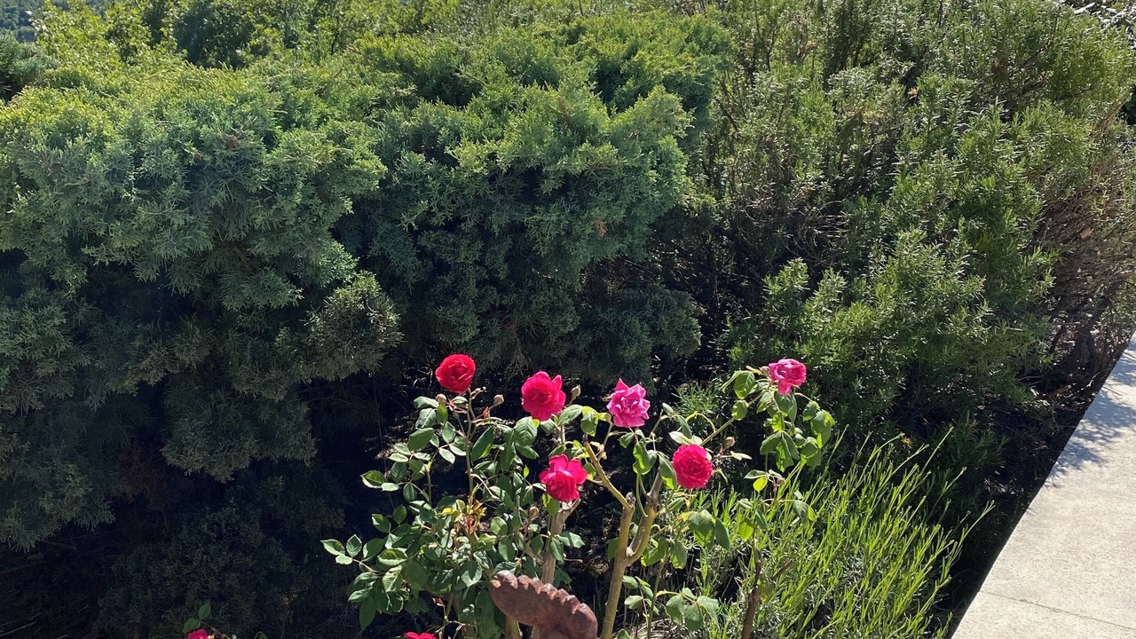 Photo of Outdoor in Pierrerue