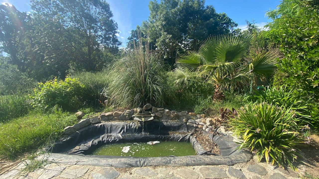 Photo of Outdoor in Narbonne