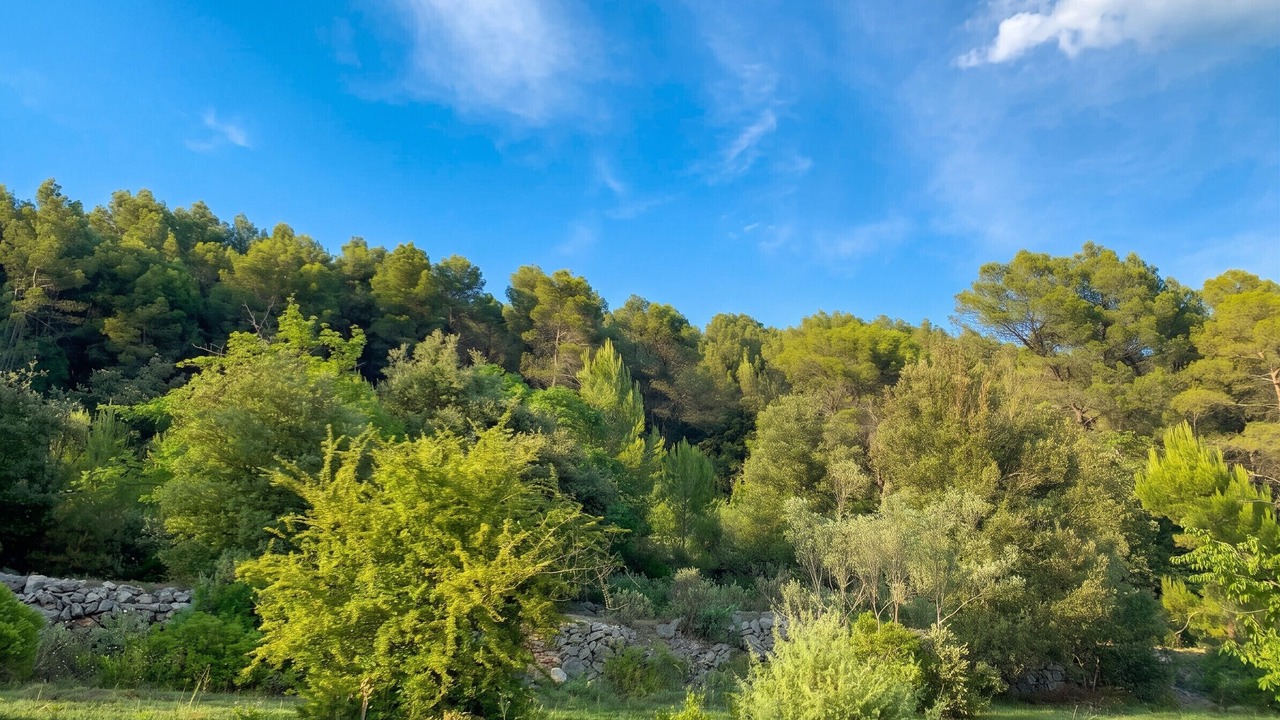 Photo of Others in Figanieres