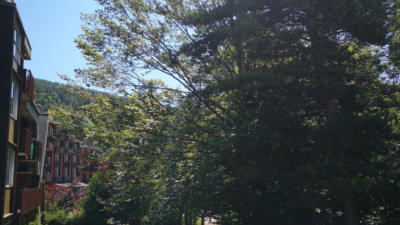 Photo of Outdoor in Montclar