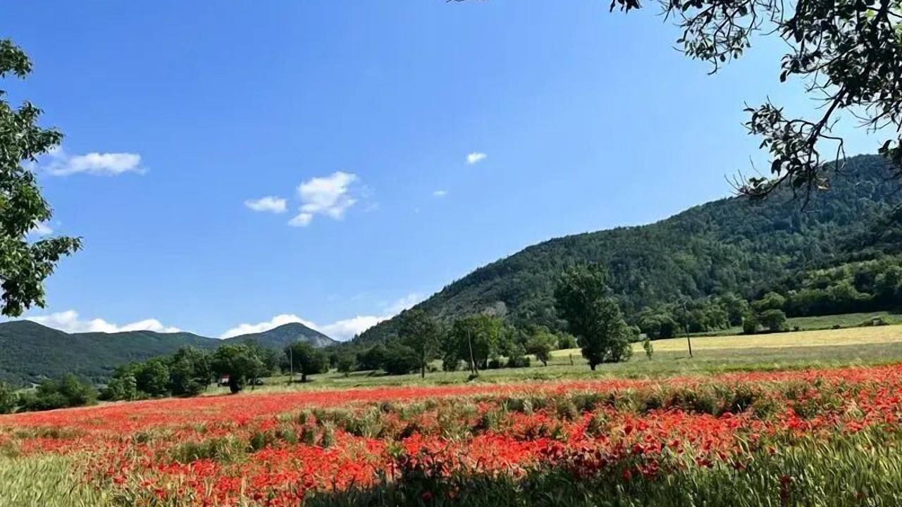 Photo of Others in Ubaye-Serre-Poncon