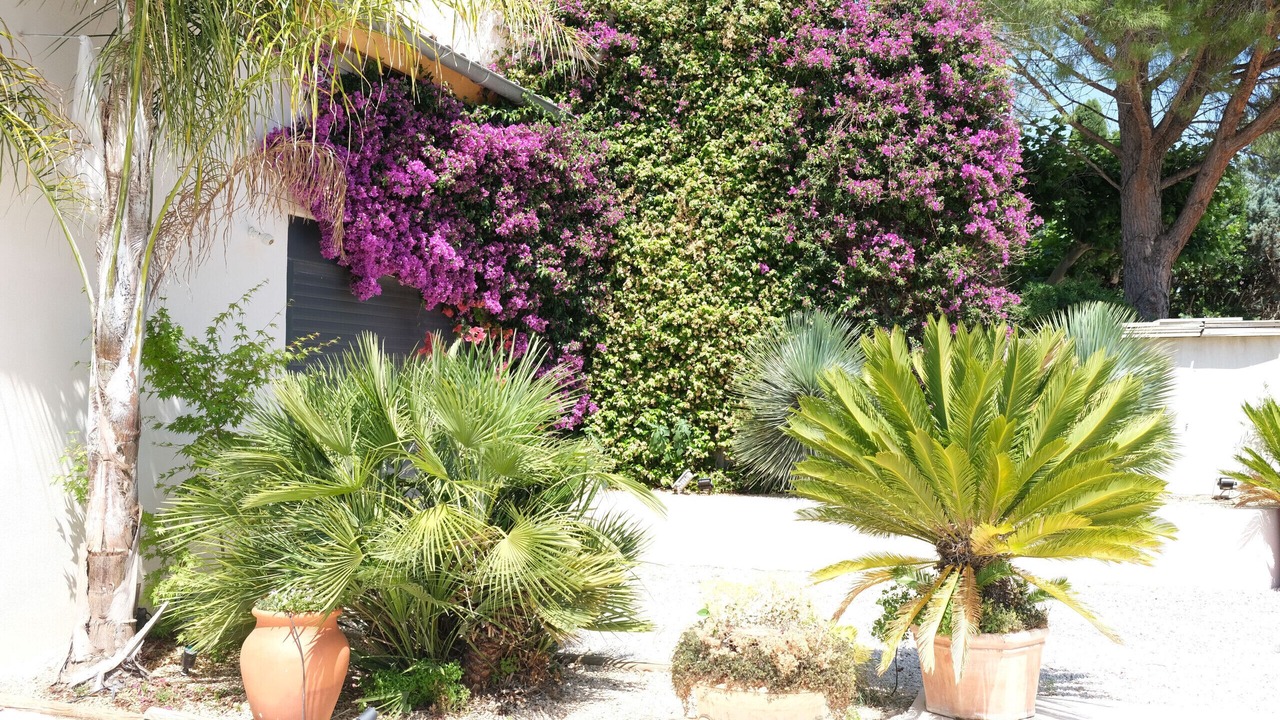 Photo of Outdoor in Mouries