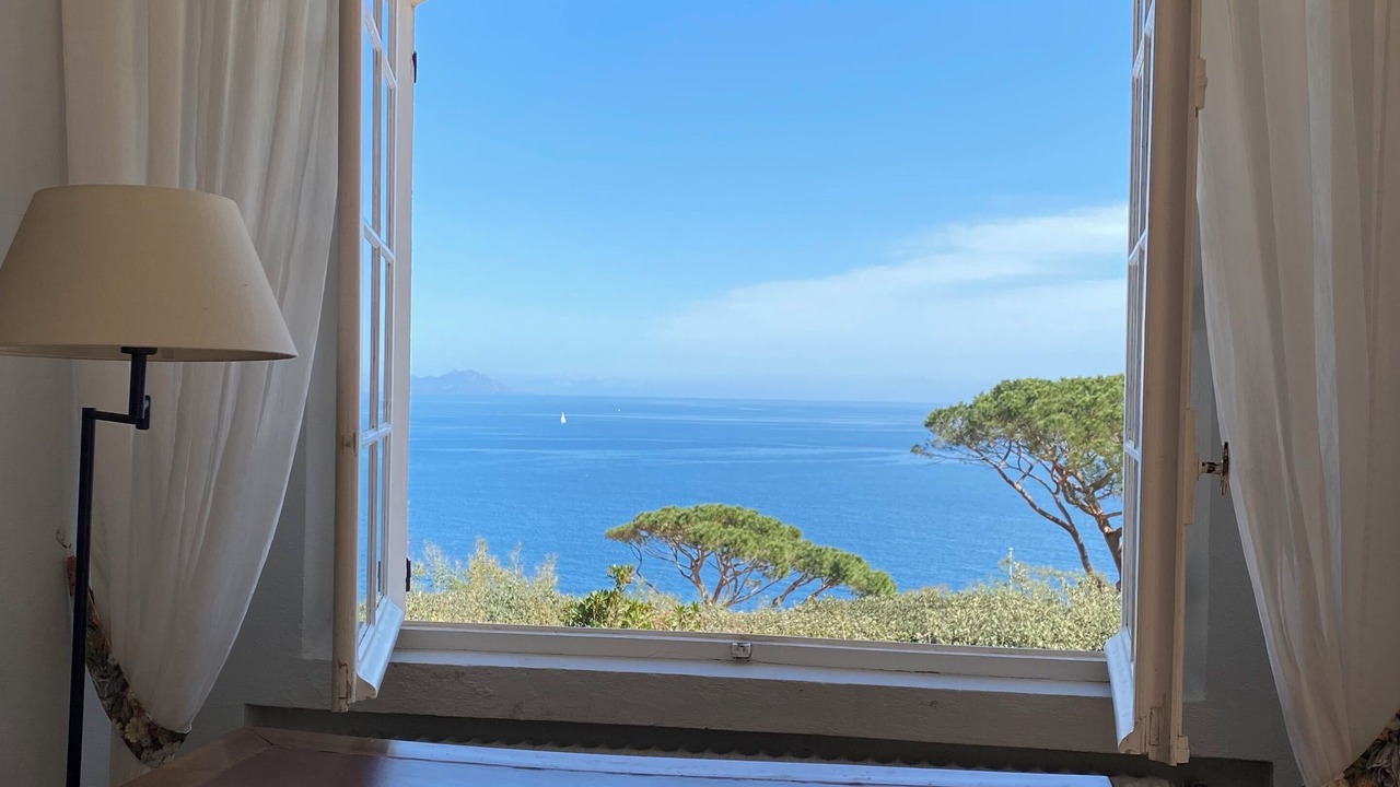 Photo of Others in Saint-Tropez
