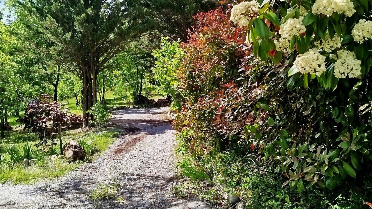 Photo of Outdoor in Annot