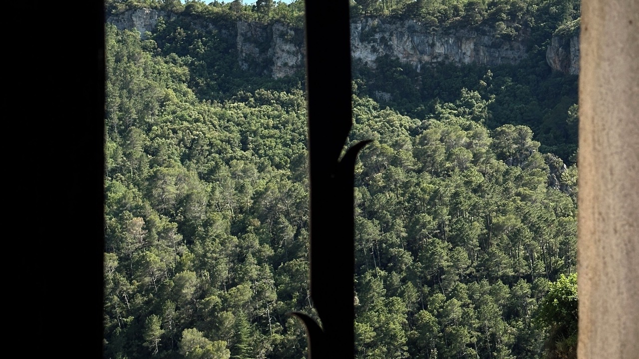 Photo of Others in Chateaudouble