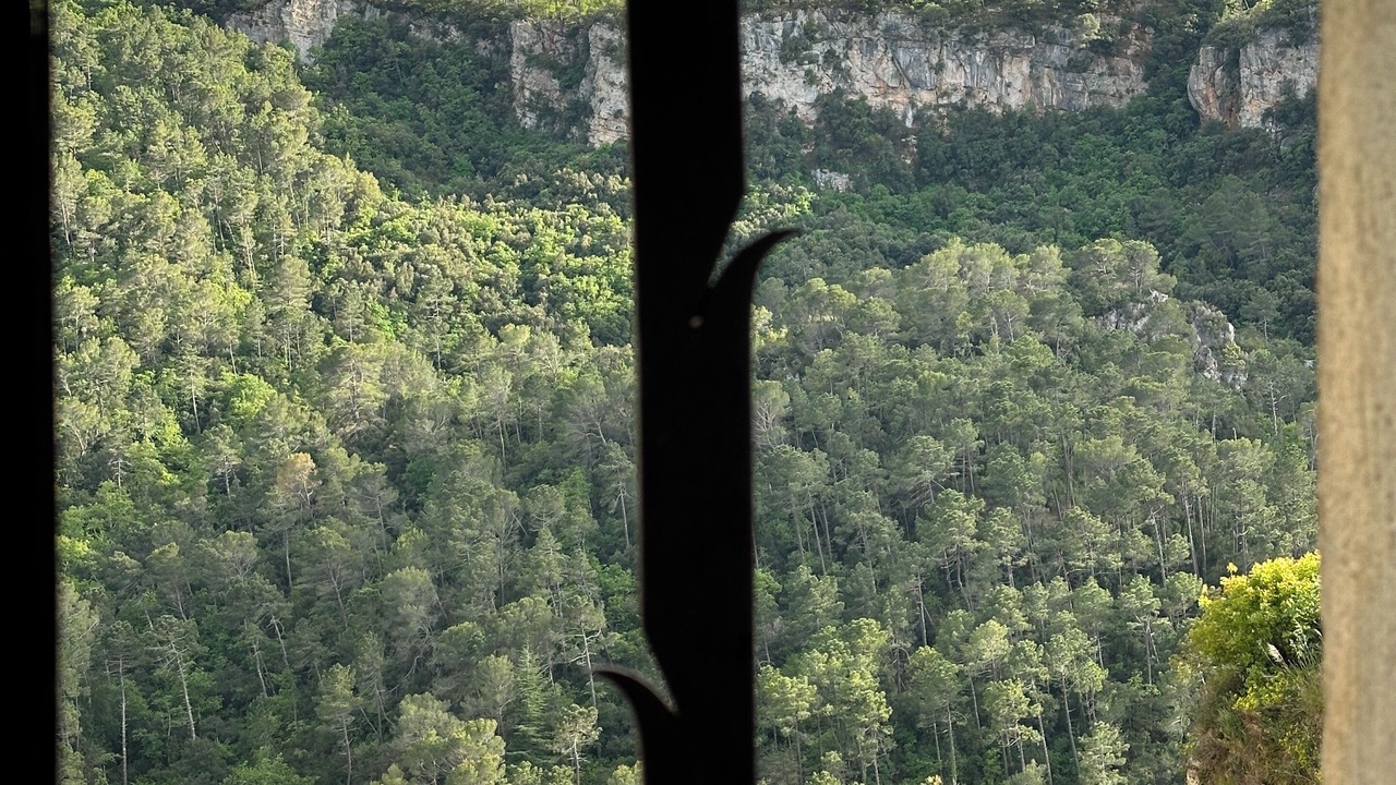 Photo of Others in Chateaudouble