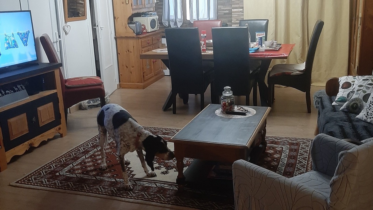 Photo of Livingroom in Colmars