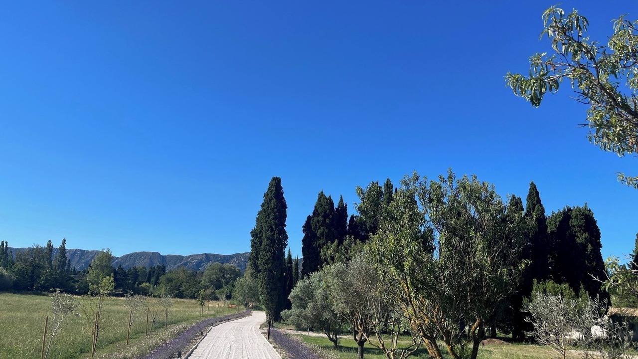 Photo of Others in St.-Remy-de-Provence