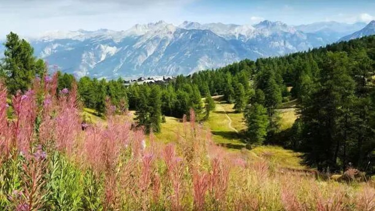 Photo of Others in Vars