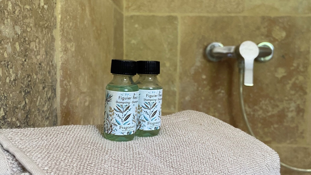 Photo of Bathroom in Tarascon