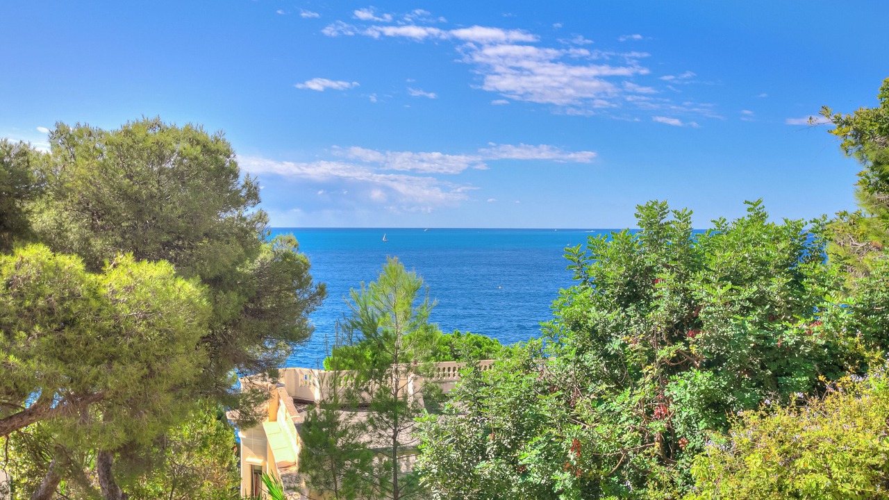 Photo of Others in Cap d'Ail