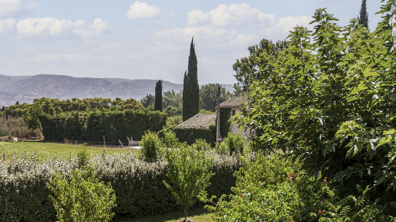 Photo of Others in Cavaillon