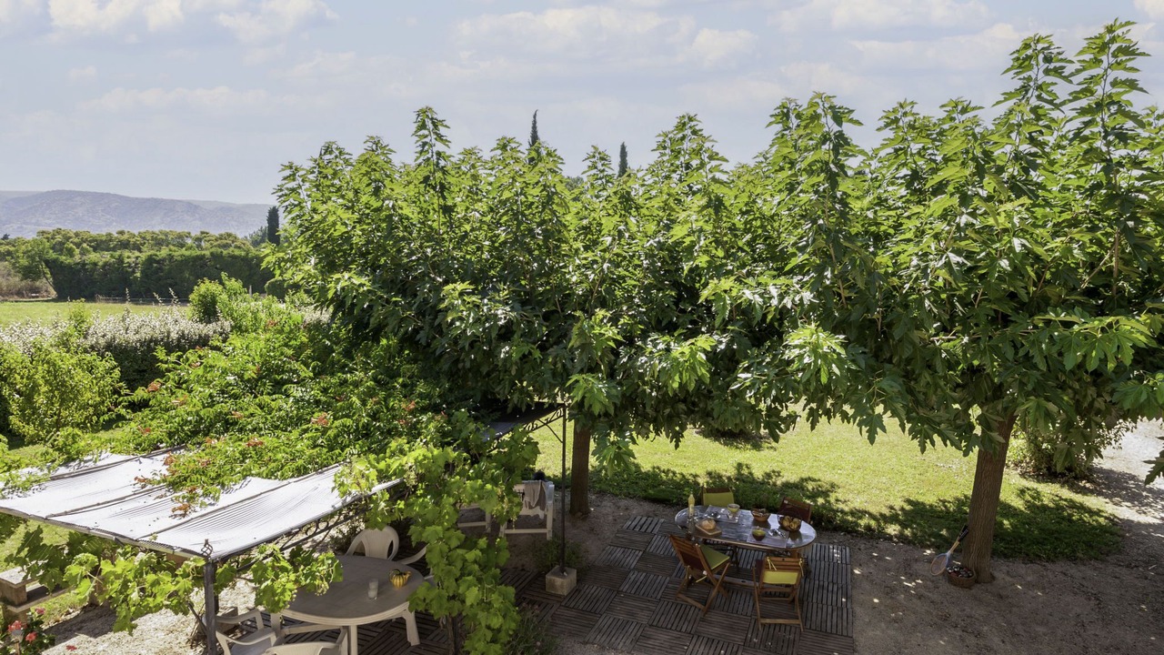 Photo of Outdoor in Cavaillon