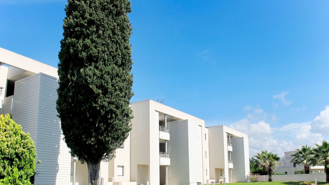 Photo of Others in Mandelieu-La-Napoule