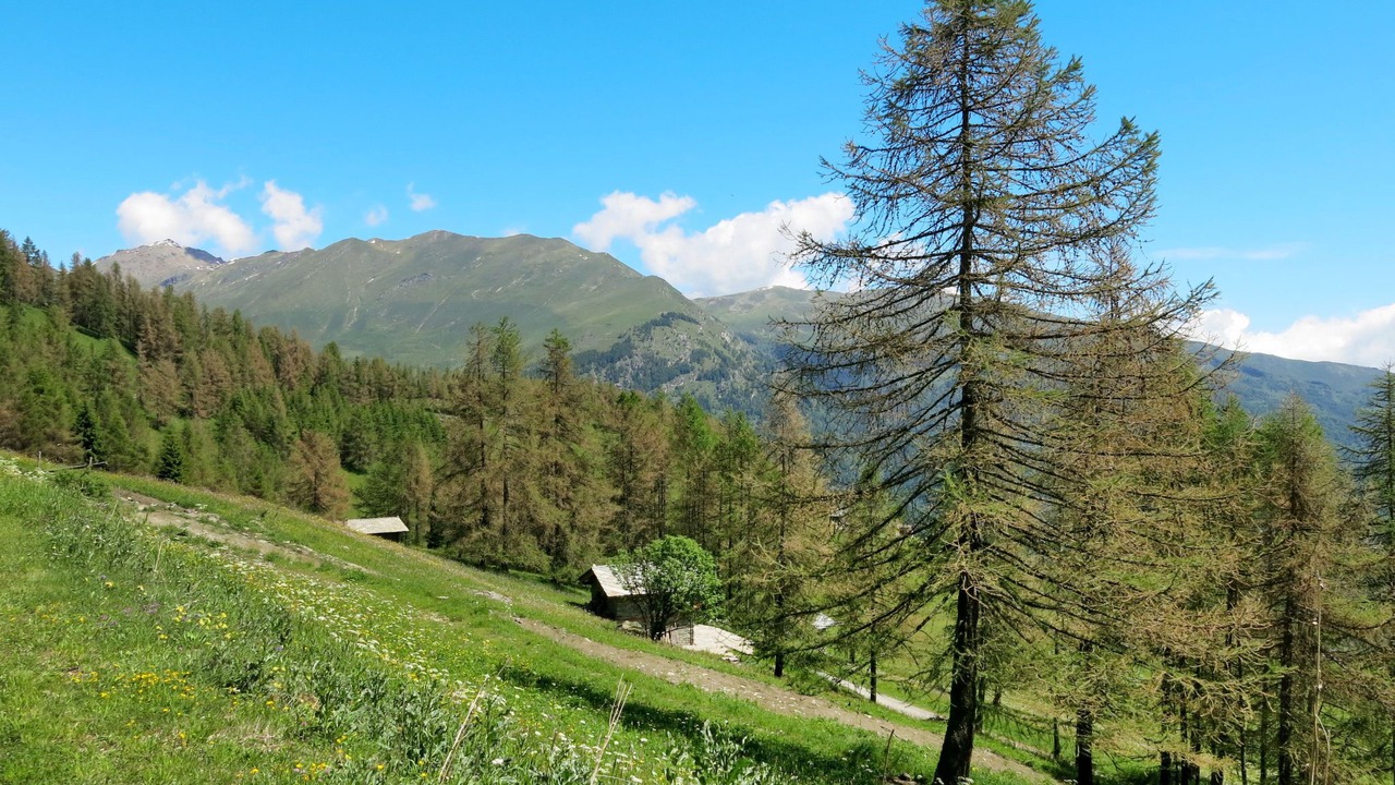 Photo of Others in Sampeyre
