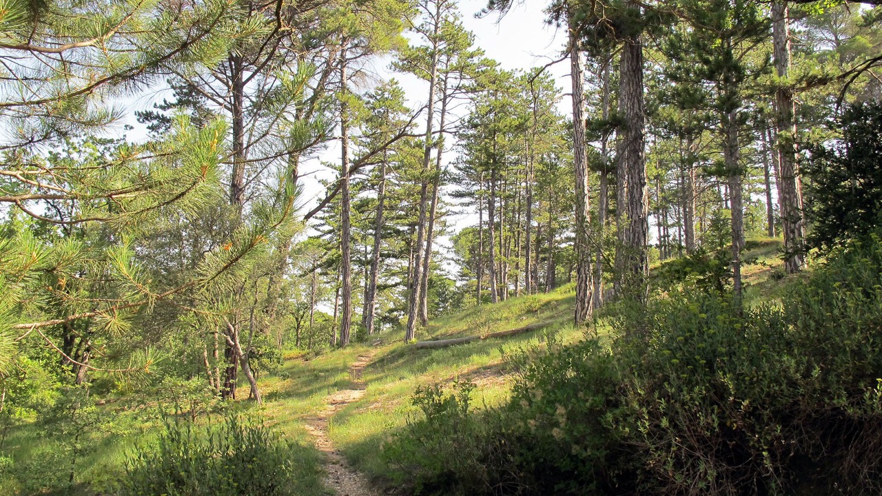 Photo of Outdoor in Greoux-les-Bains