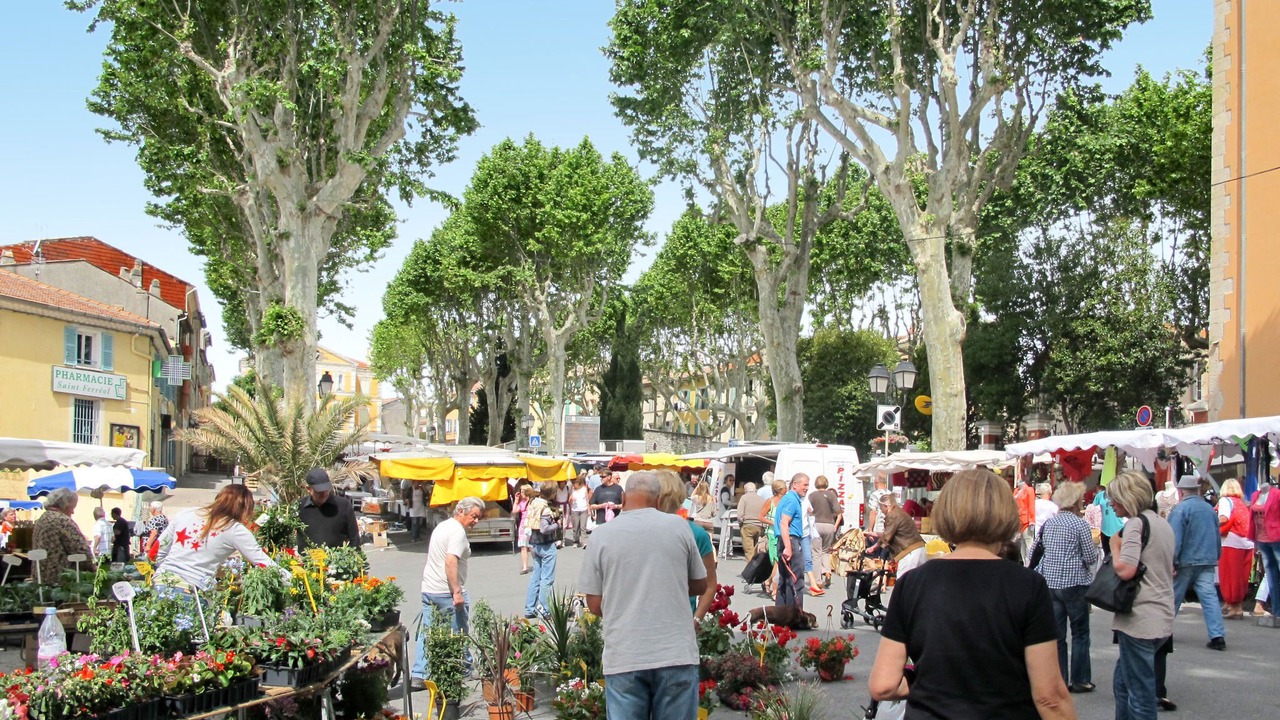 Photo of Outdoor in Lorgues
