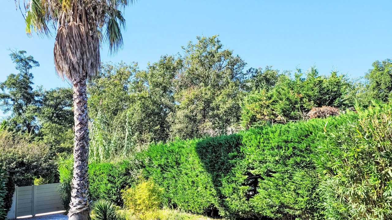 Photo of Outdoor in Gassin