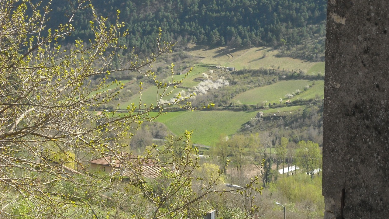 Photo of Others in Mostuejouls