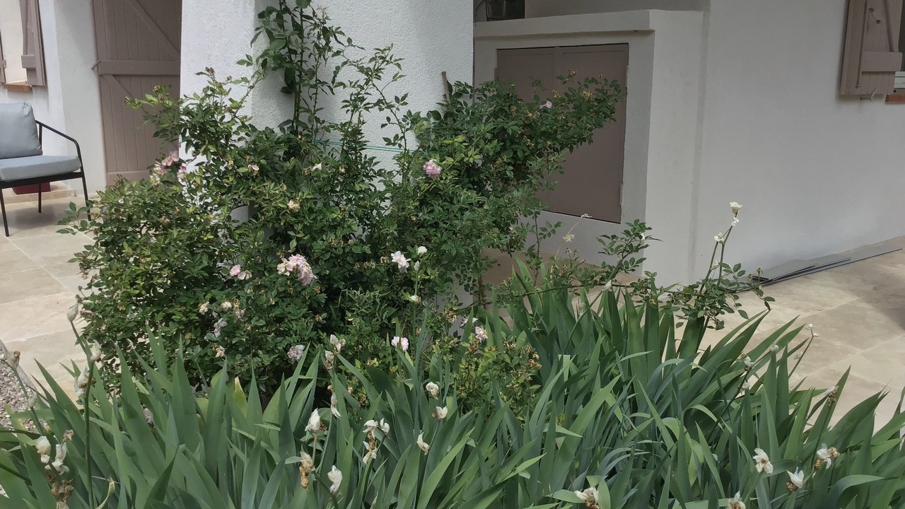 Photo of Outdoor in Lorgues