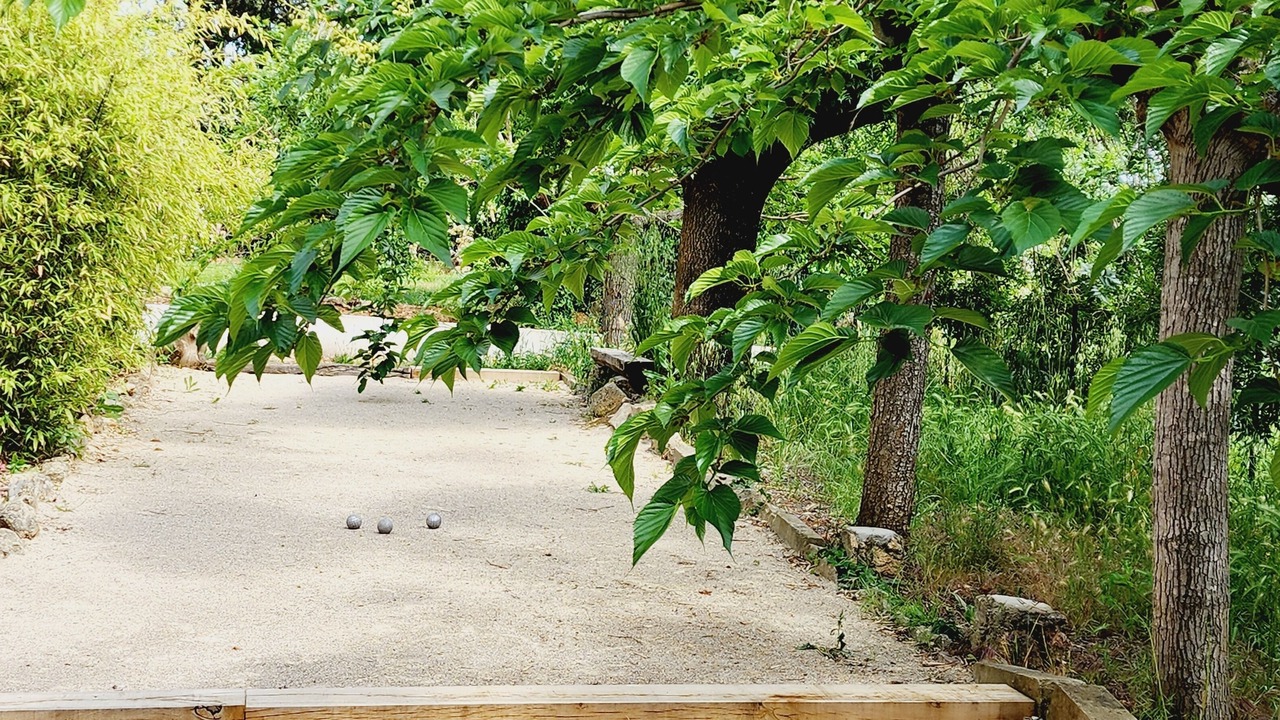 Photo of Outdoor in Lorgues