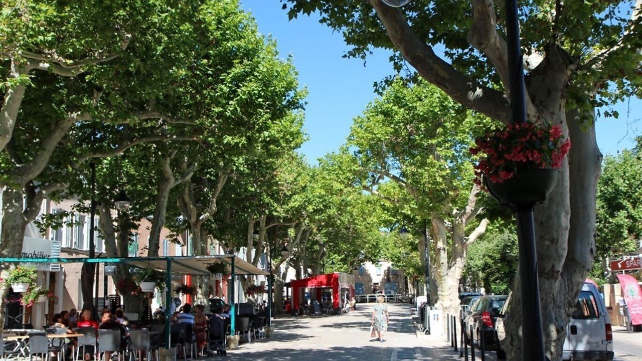 Photo of Others in St.-Remy-de-Provence
