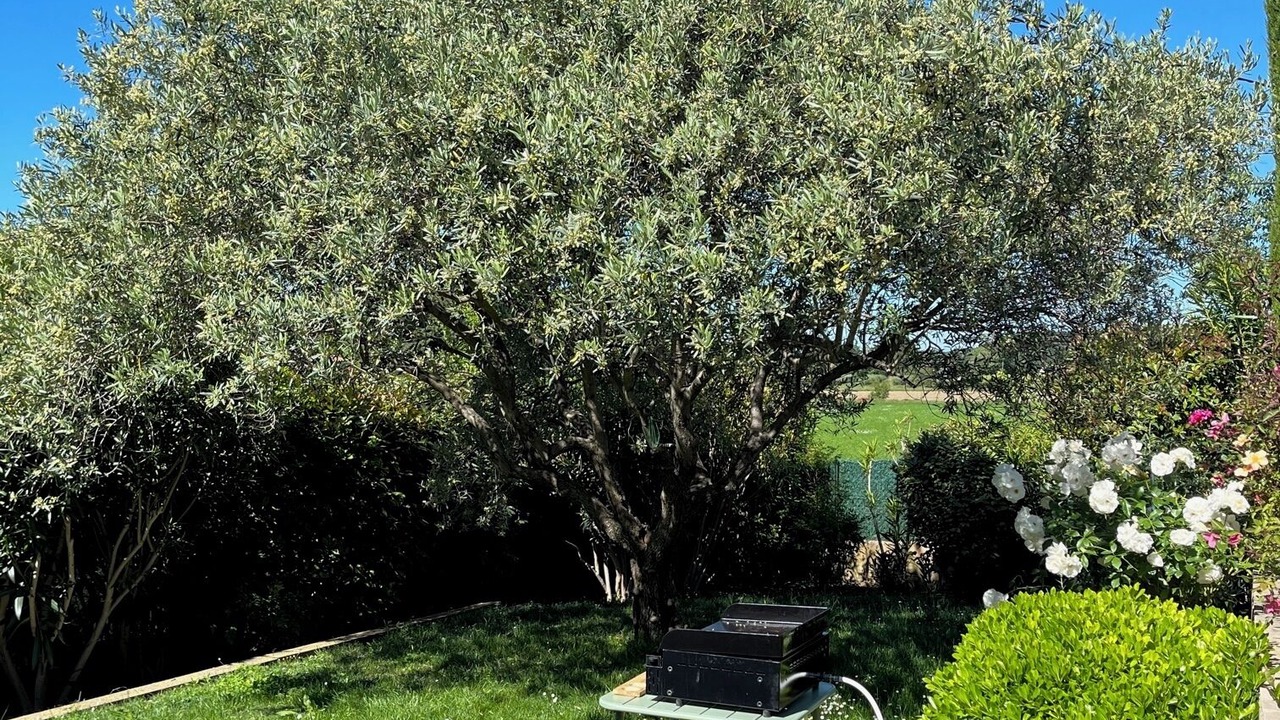 Photo of Outdoor in Lambesc