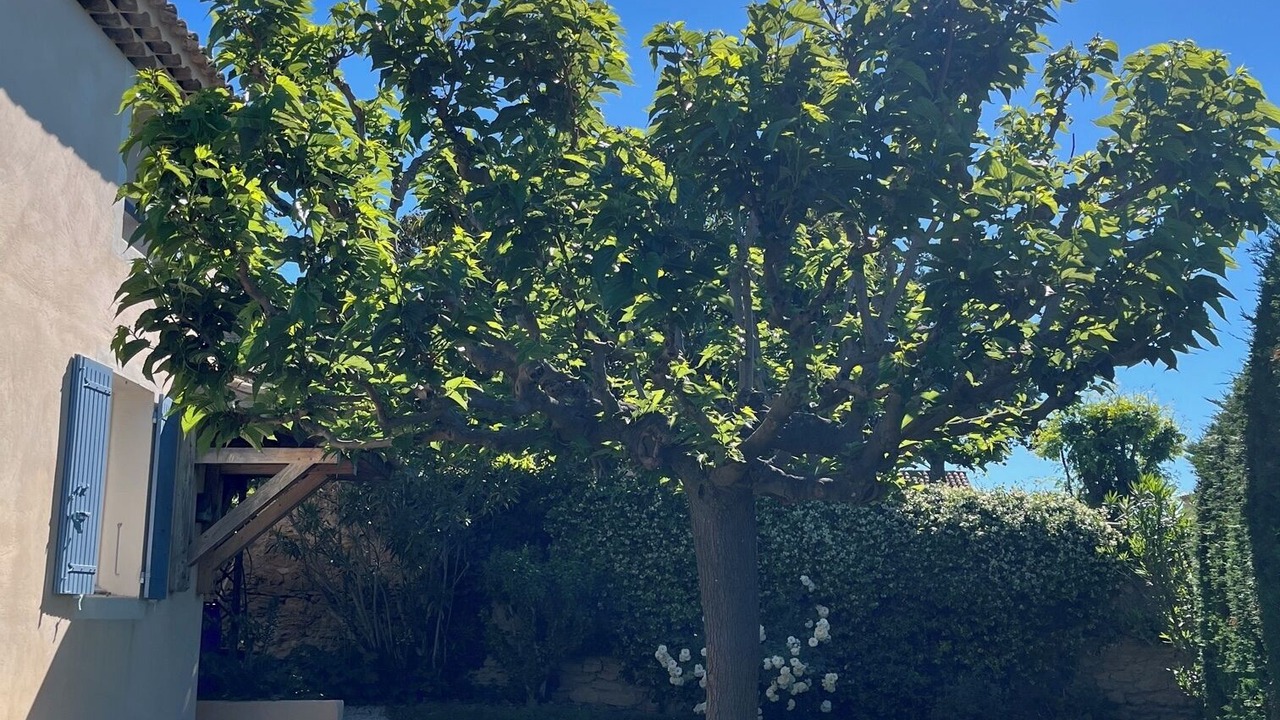 Photo of Outdoor in Lambesc