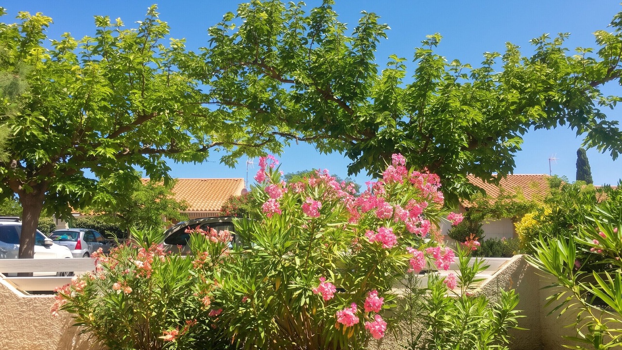 Photo of Outdoor in Les Ayguades