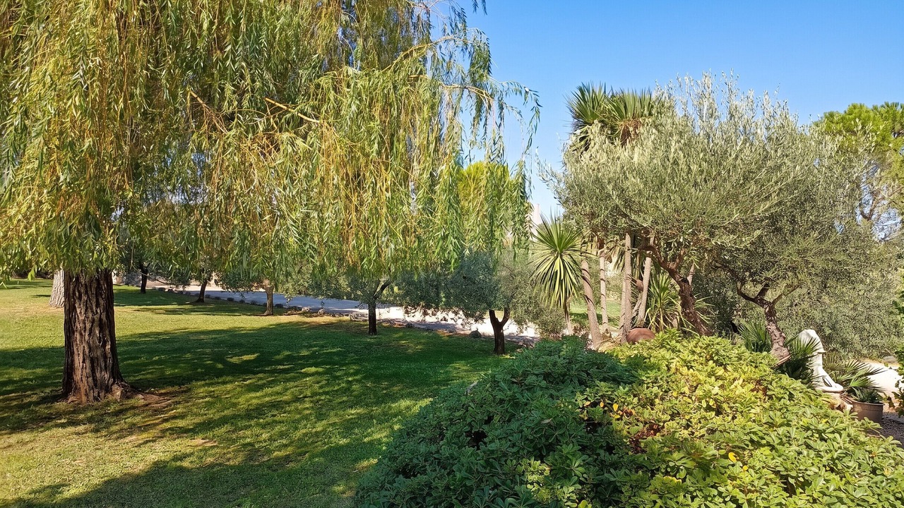 Photo of Outdoor in Campagne
