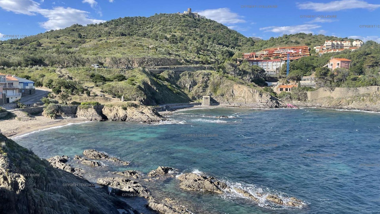 Photo of Others in Collioure