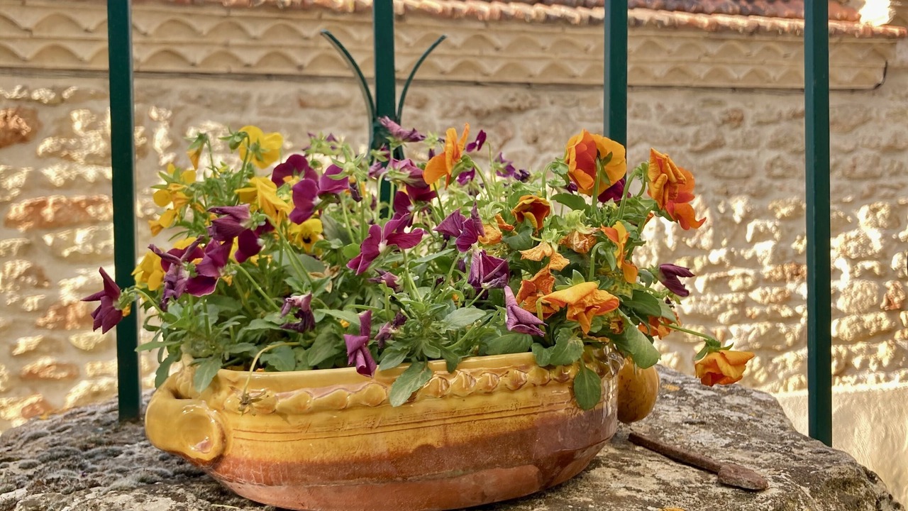 Photo of Outdoor in Aigues-Vives