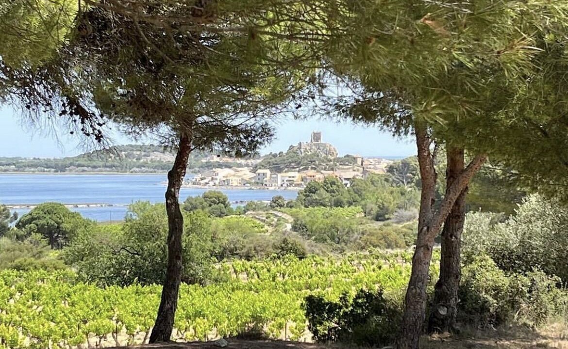 Photo of Outdoor in Gruissan Plage