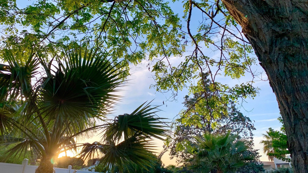 Photo of Outdoor in Le Grau-dʼAgde